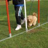 agility 2011-10-30